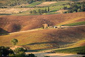 5K8B2276.jpg