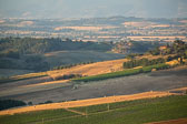 5K8B2277.jpg