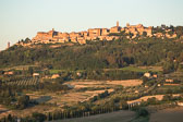 5K8B2278.jpg