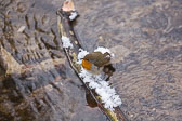Bad_Urach Bad_Urach