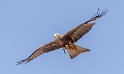Abflug