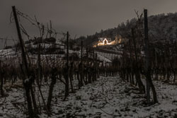 Fellbach_N8s Fellbach_N8s
