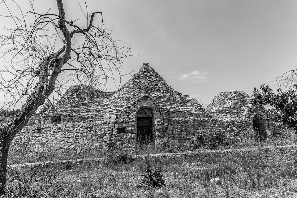 Photoshop-1566.jpg