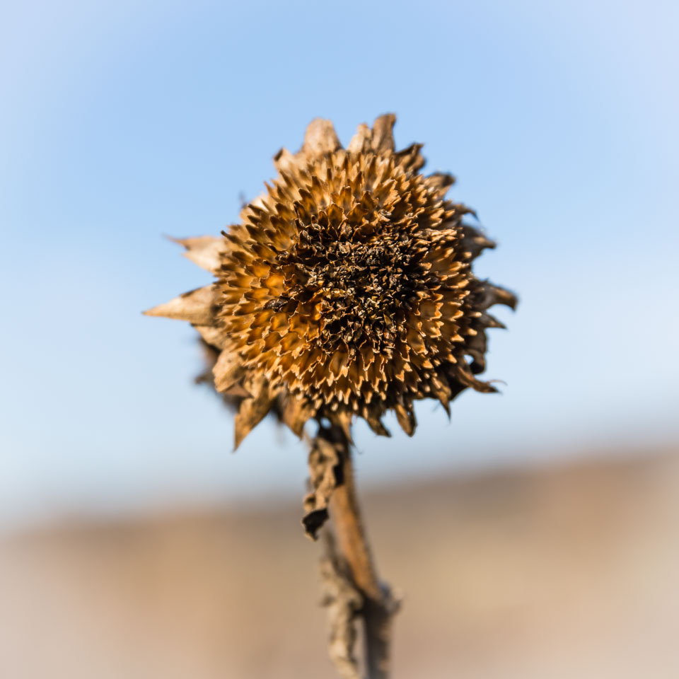 5K8B0137.jpg