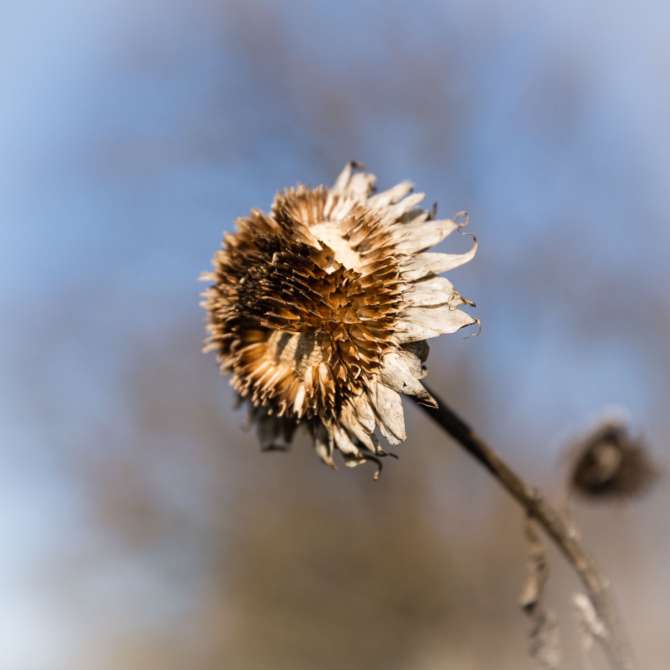 5K8B0138.jpg