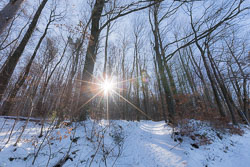 Winter-2021
