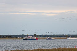 EASI6457-dng_DxO_DeepPRIME.jpg