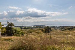 5K8B5361.jpg
