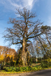 EASI8728-Bearbeitet.jpg