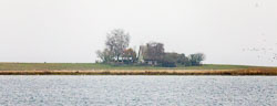 EASI8910-dng_DxO_DeepPRIME.jpg