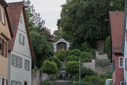 EASI1331.jpg