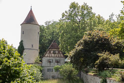 EASI1380.jpg