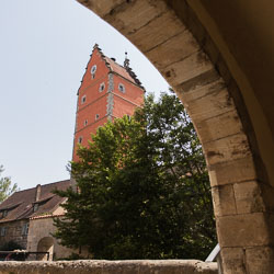 EASI1384.jpg
