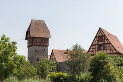 EASI1393.jpg