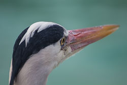 IMG_7922.jpg