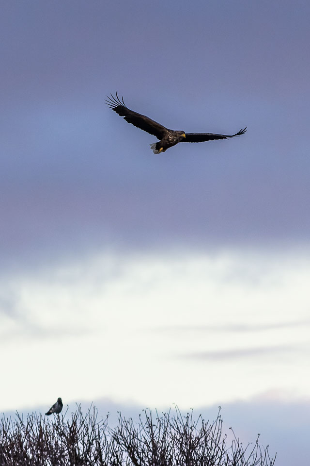 IMG_4508-CR2_DxO_DeepPRIME.jpg