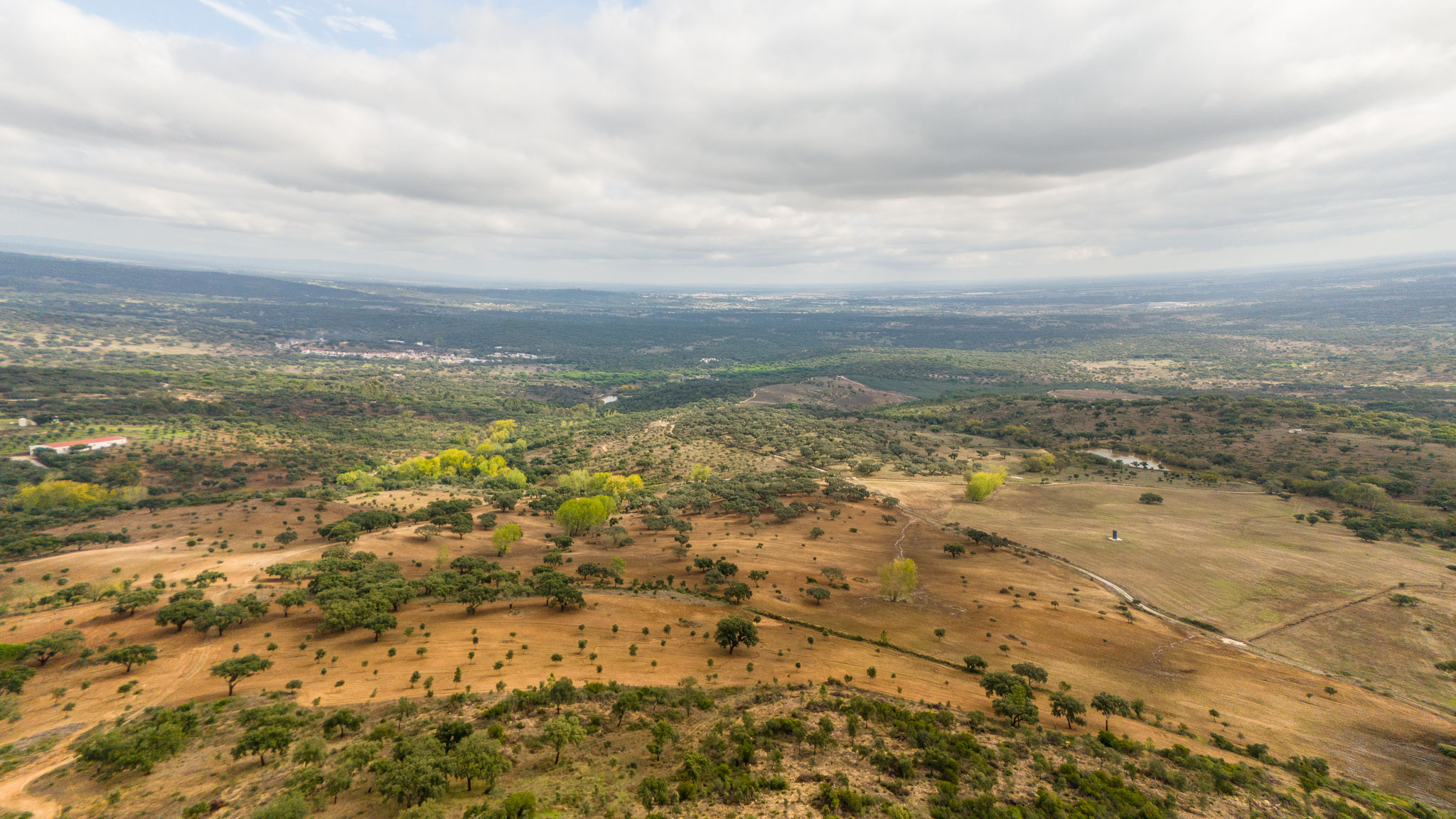 DJI_20241019134710_0024_D_EASI1000.jpg