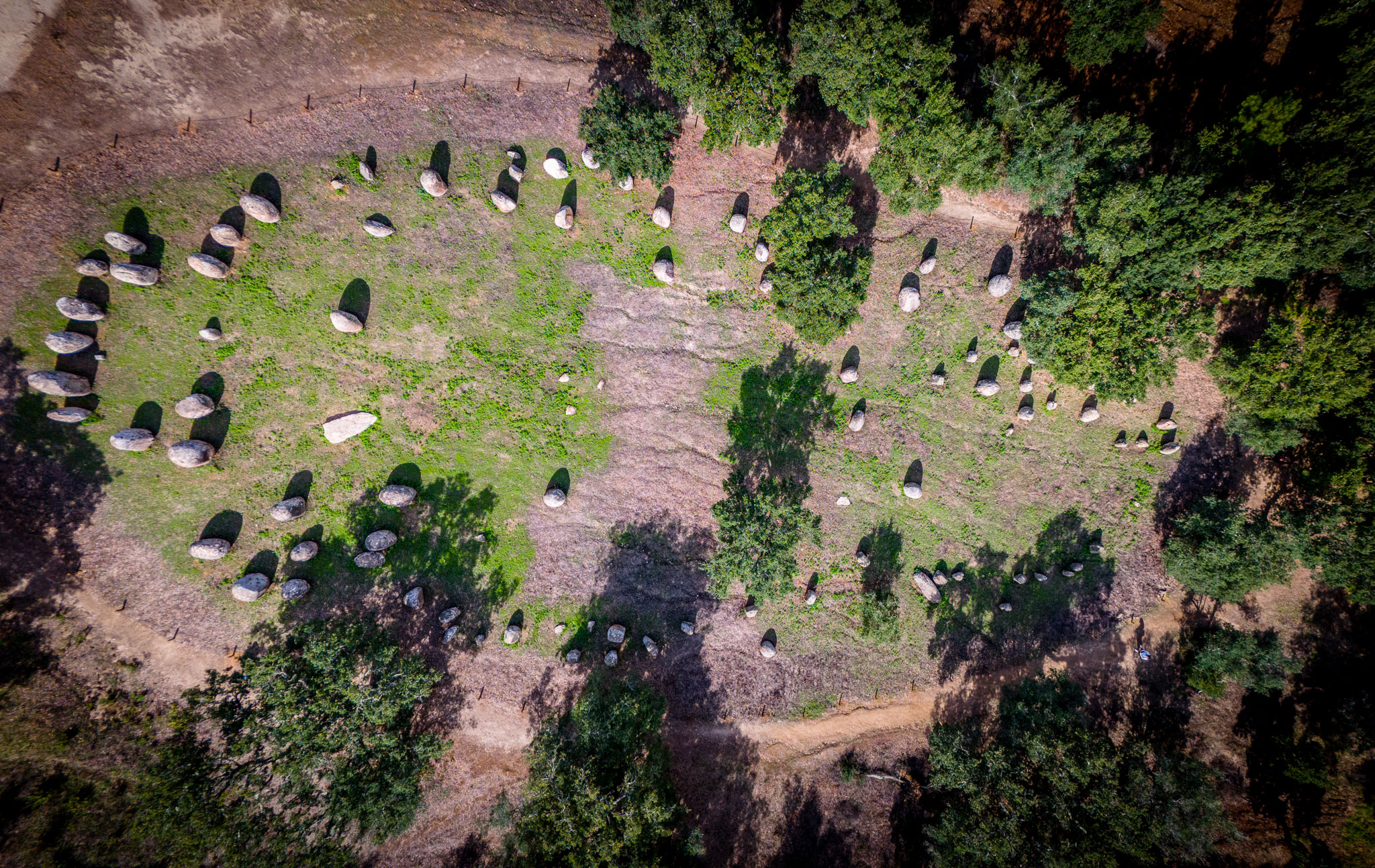 DJI_20241019142036_0050_D_EASI1000.jpg