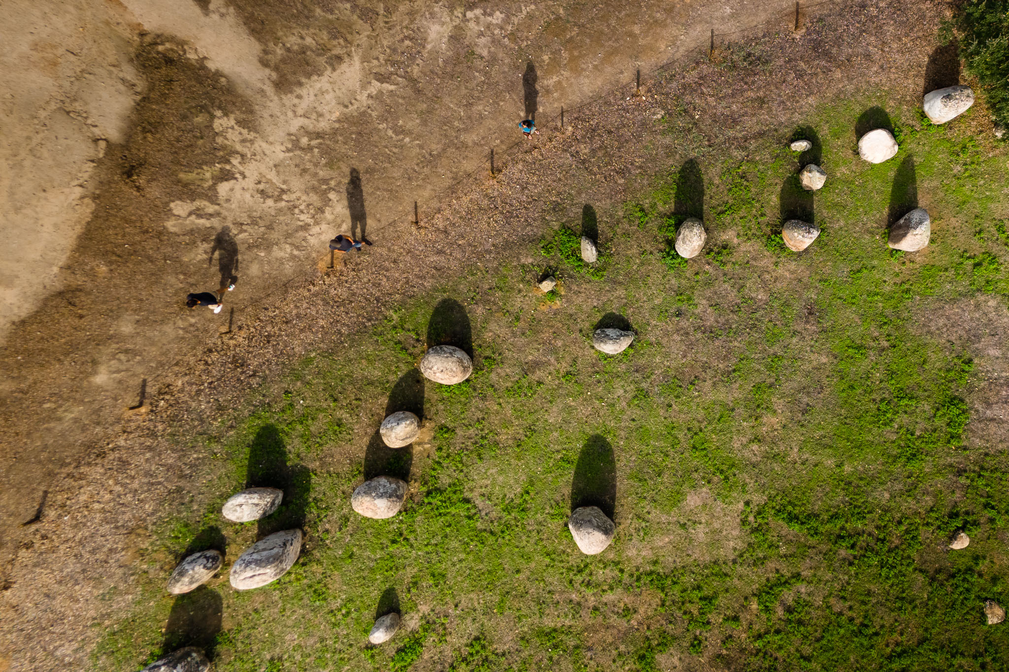 DJI_20241019142149_0053_D_EASI1000.jpg