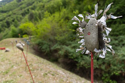 5K8B6415.jpg
