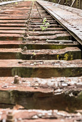 5K8B6527.jpg