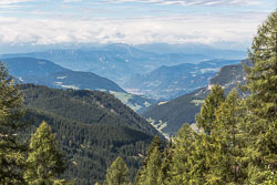 5K8B8826.jpg
