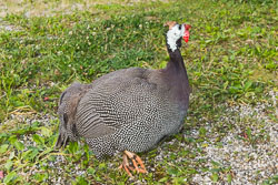 IMG_0139.jpg