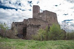 IMG_1115.jpg