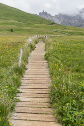 IMG_1876_v1.jpg