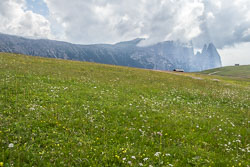 IMG_1878.jpg